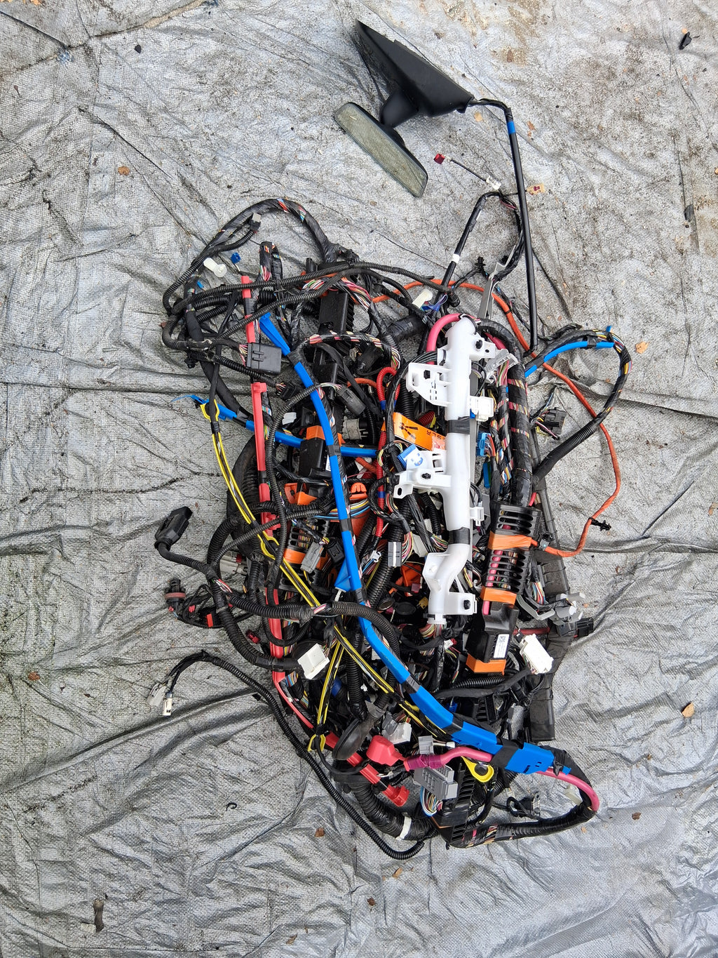 OEM 2489042-00-A 2022 Tesla Model Y Right Interior Body Wiring Harness