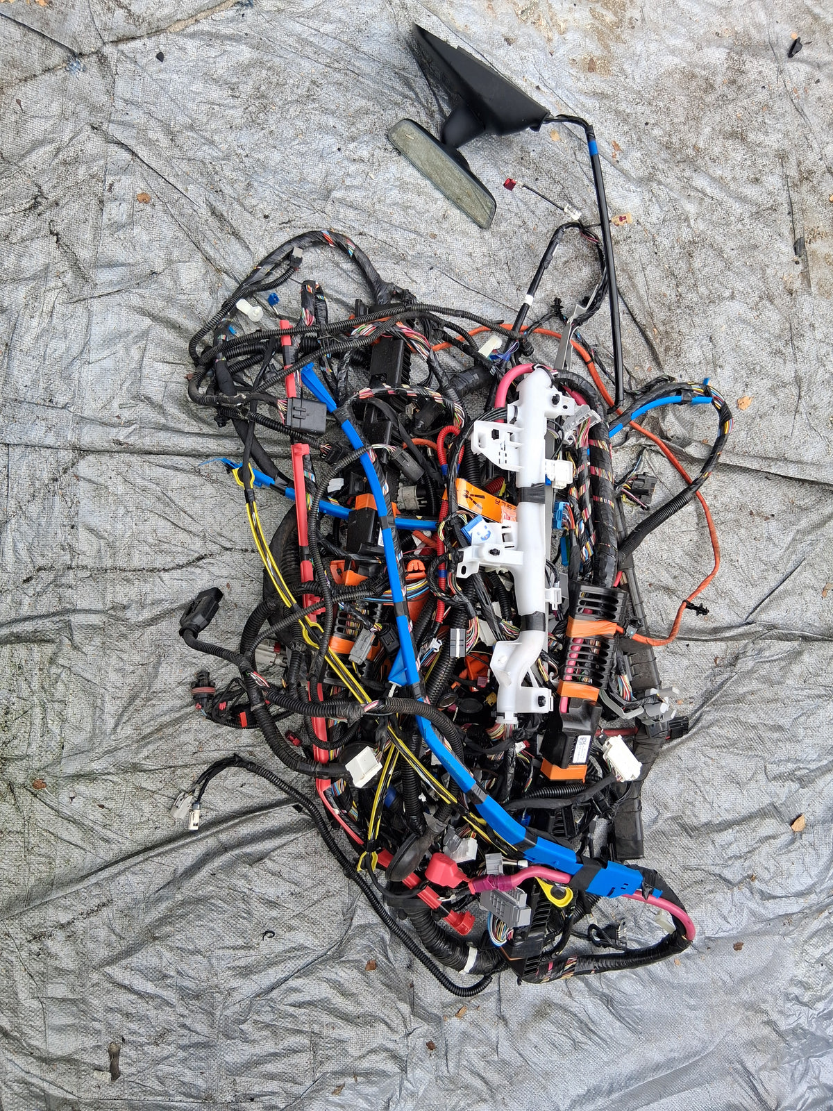 OEM 2489042-00-A 2022 Tesla Model Y Right Interior Body Wiring Harness