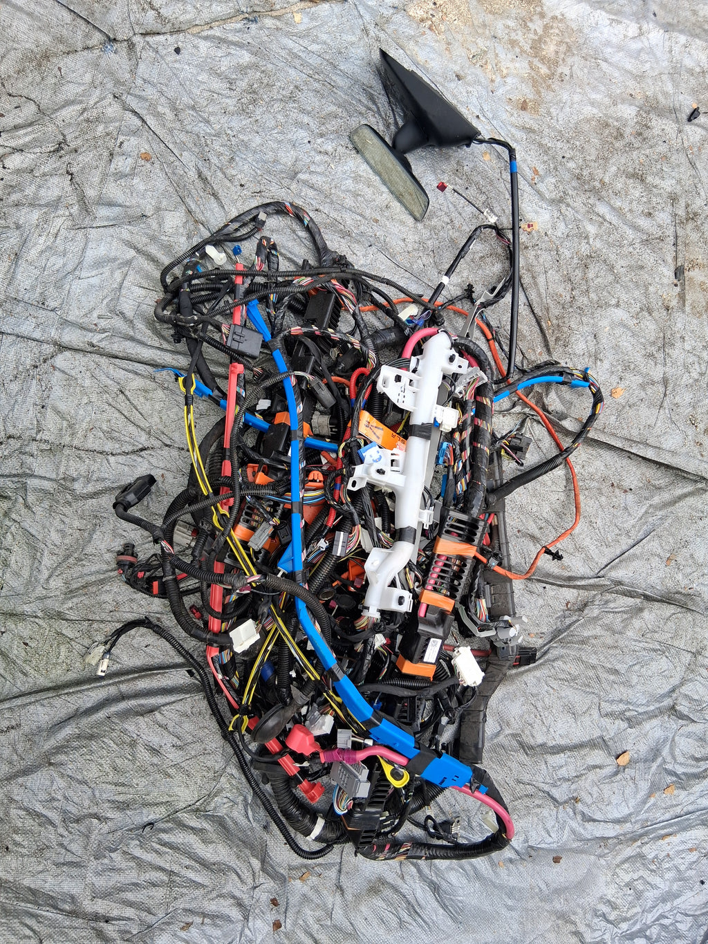 OEM 2489042-00-A 2022 Tesla Model Y Right Interior Body Wiring Harness