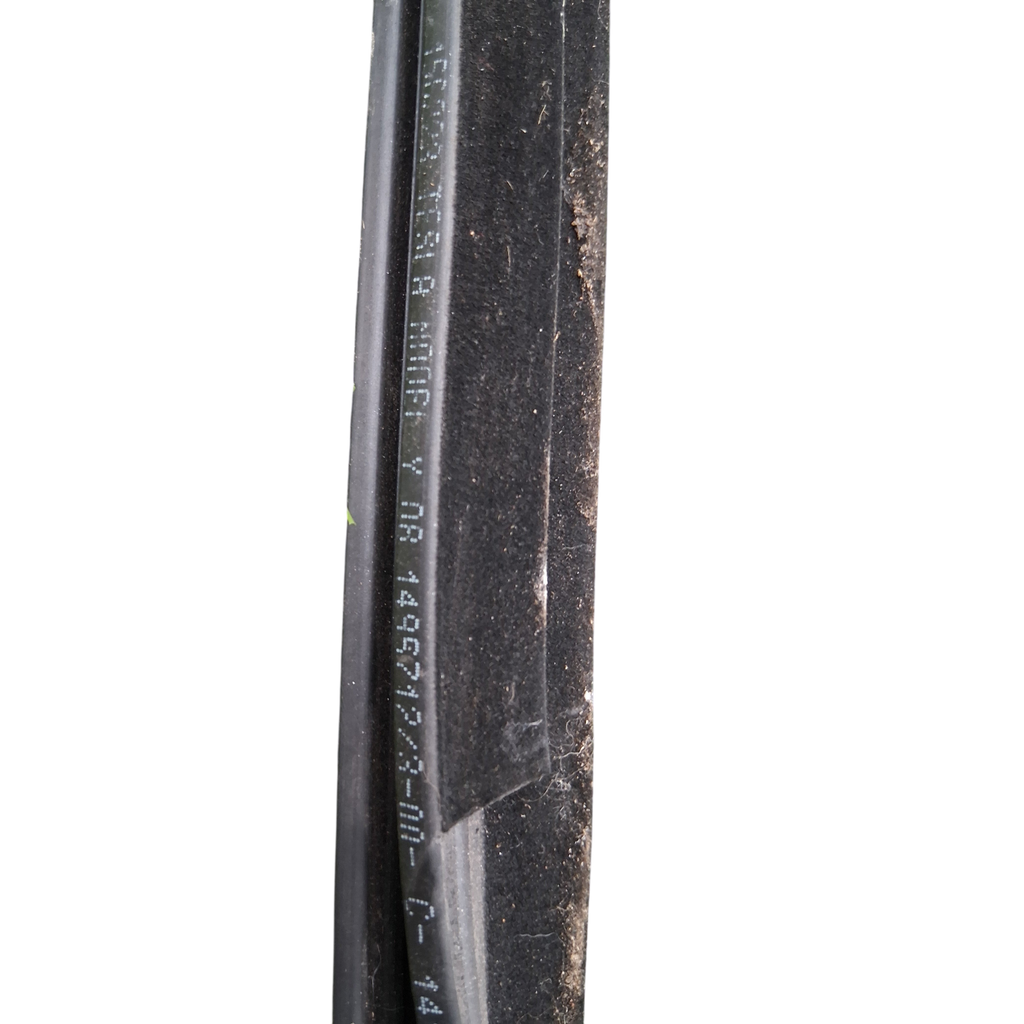 My Store OEM Tesla Model Y left door window belt seal with part number 1495722-00-B on green grass background